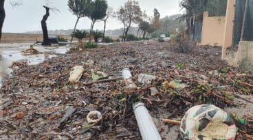 El paseo de la Marineta tras el paso del Gloria por Dénia