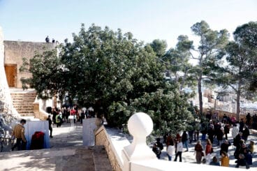 Inauguración del Centro de Interpretación de Dénia (6)