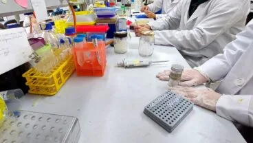 la recuperacion del erizo de mar o el empleo de restos de posidonia para incrementar el aroma y sabor del tomate entre las tematicas de los proyectos de investigacion gastronomica de gasterra ua que