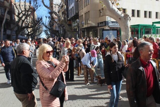 sant antoni de denia 2025 13