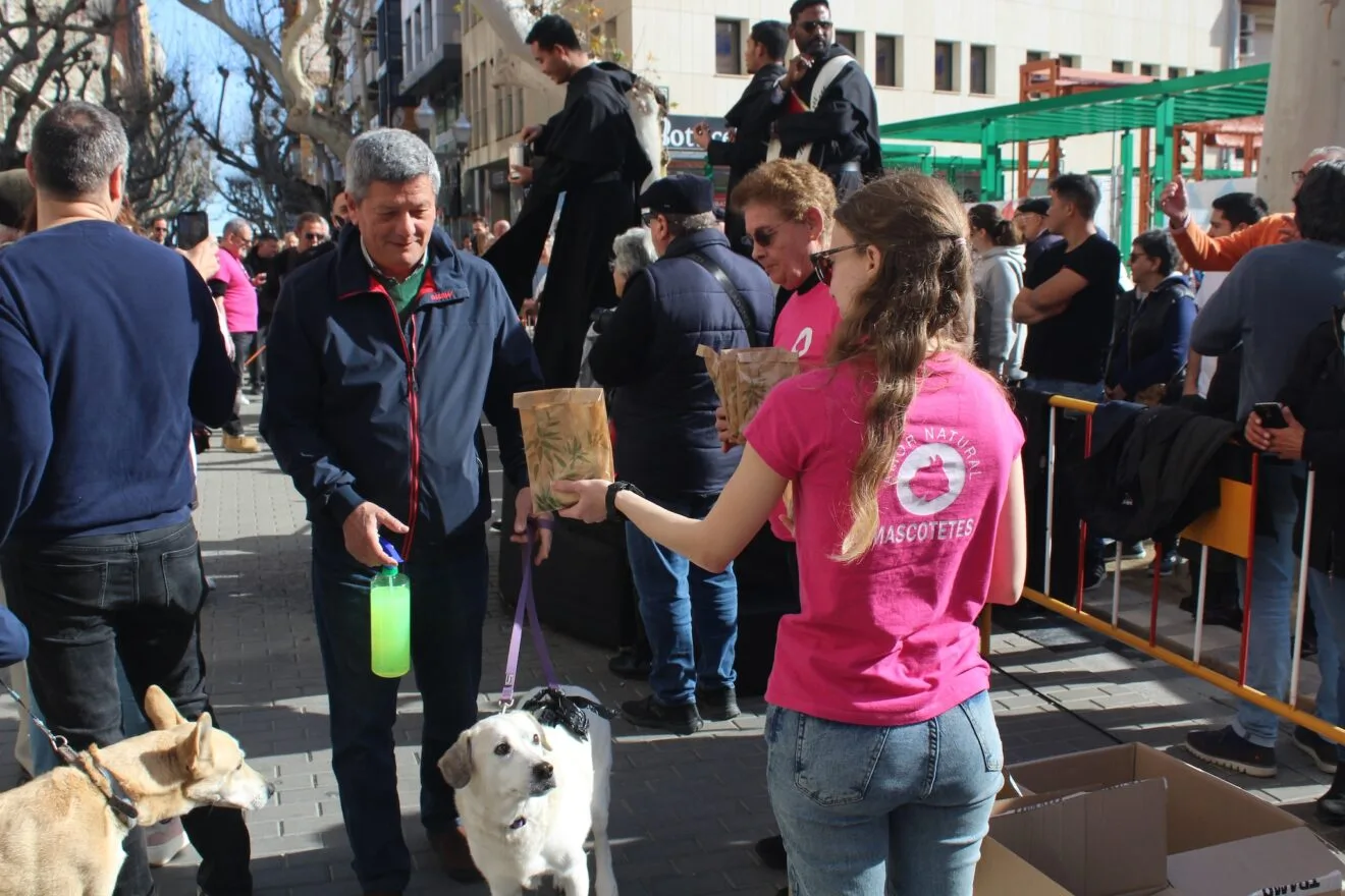 Sant Antoni de Dénia 2025 4