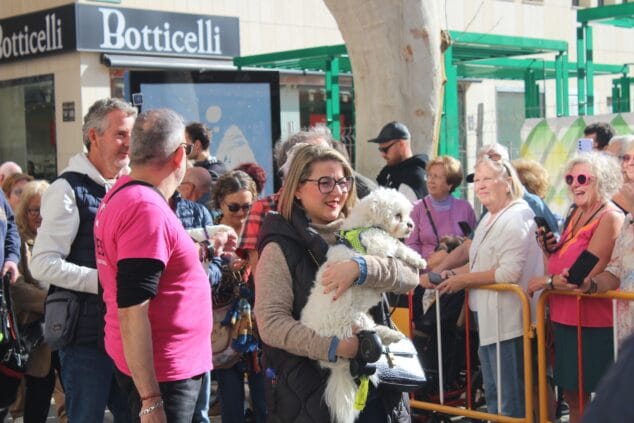 sant antoni de denia 2025 6