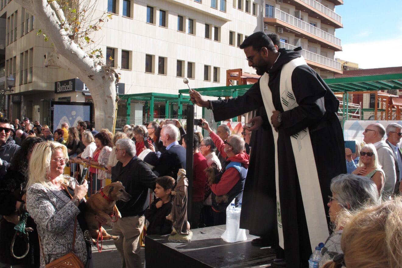 Sant Antoni de Dénia 2025 | Tino Calvo 11