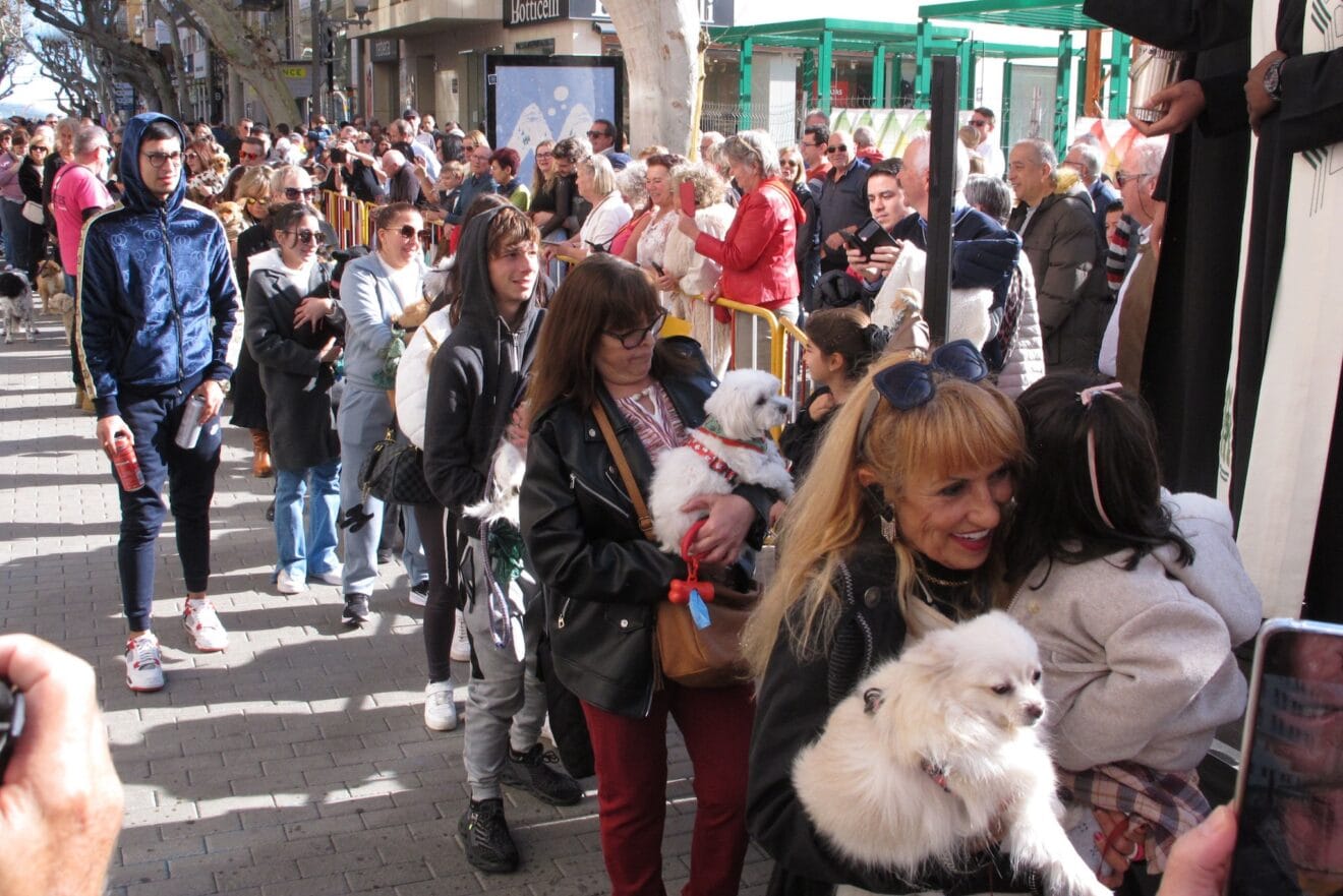 Sant Antoni de Dénia 2025 | Tino Calvo 12