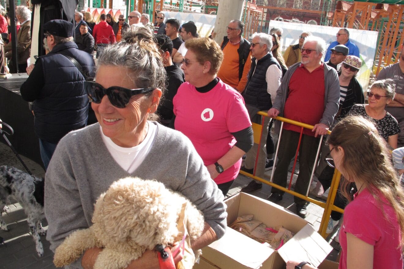 Sant Antoni de Dénia 2025 | Tino Calvo 14