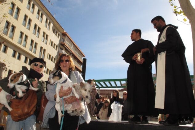 sant antoni de denia 2025 tino calvo 20