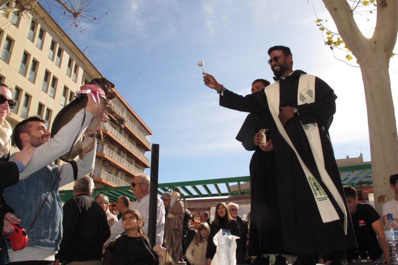 Sant Antoni de Dénia 2025 | Tino Calvo 21