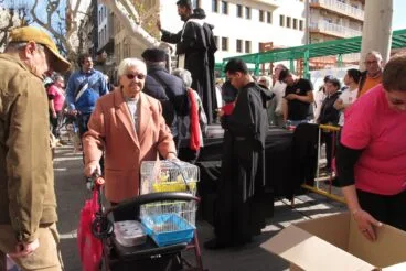 Sant Antoni de Dénia 2025 | Tino Calvo 22