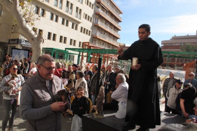 sant antoni de denia 2025 tino calvo 24