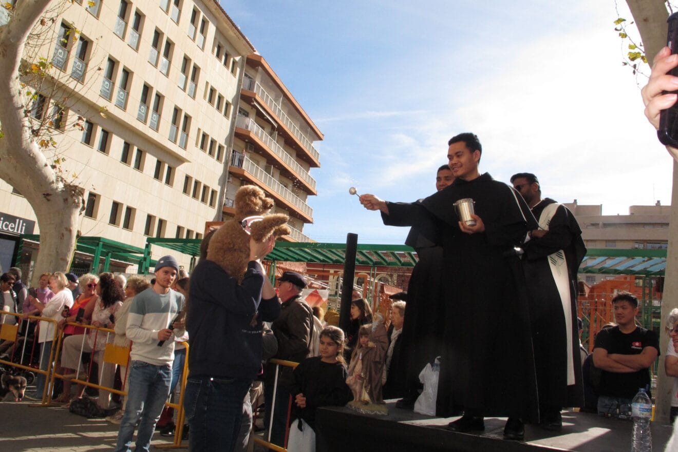 Sant Antoni de Dénia 2025 | Tino Calvo 29