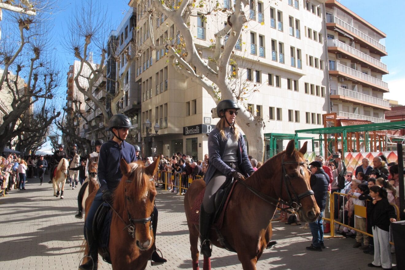Sant Antoni de Dénia 2025 | Tino Calvo 7