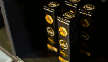 Productos con CBD especializados en cosmética