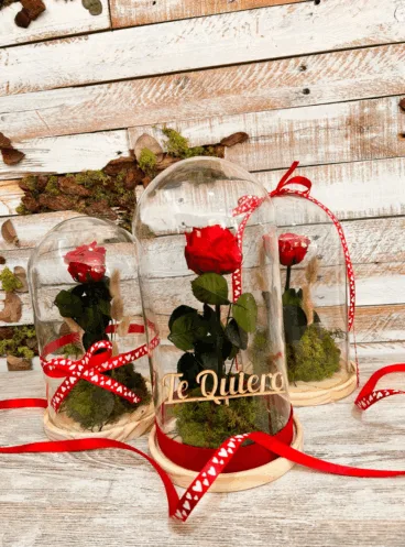 Rosas eternas en fanal: un detalle romántico para siempre