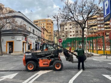 trabajadores descargando el arbolado de la nueva plaza de denia