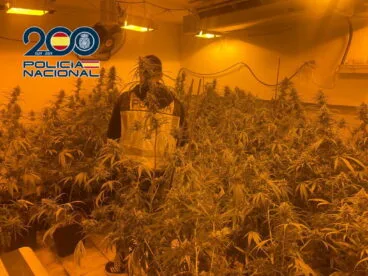 agente de la policia nacional en la plantacion de denia