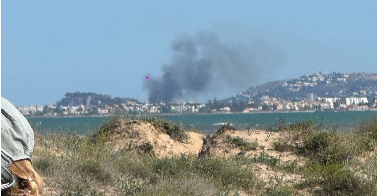 Humareda del incendio originado en Dénia