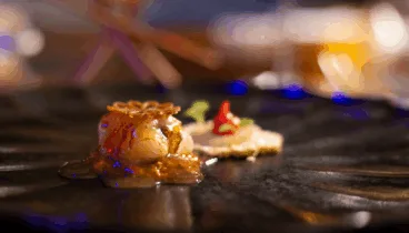 asi es el restaurante de cocina de autor sin gluten con mucho flow y ahora un sol repsol