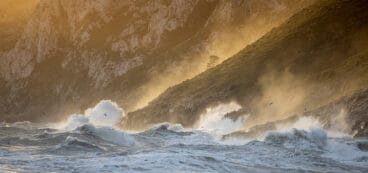 cova talla de jake sadhu abbott