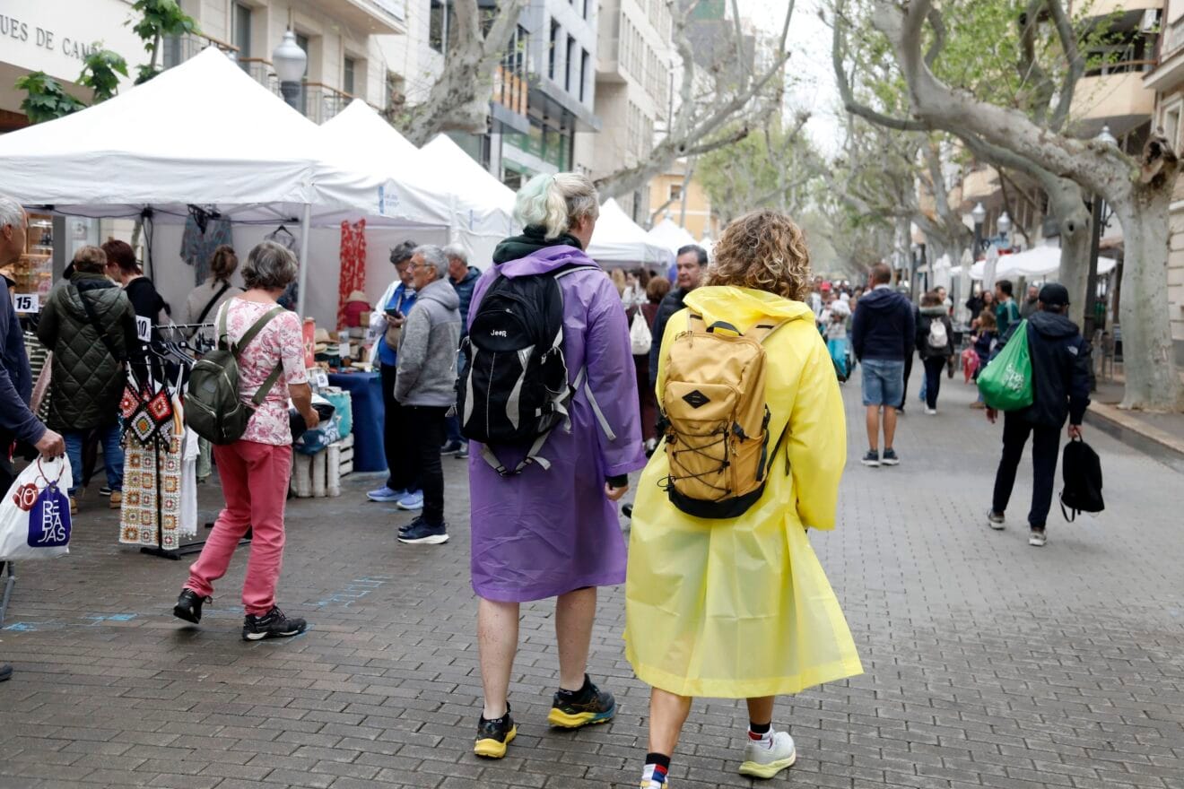 Dénia Stock 2025 14
