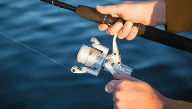 los 10 basicos para pescar que todo amante de la pesca necesita