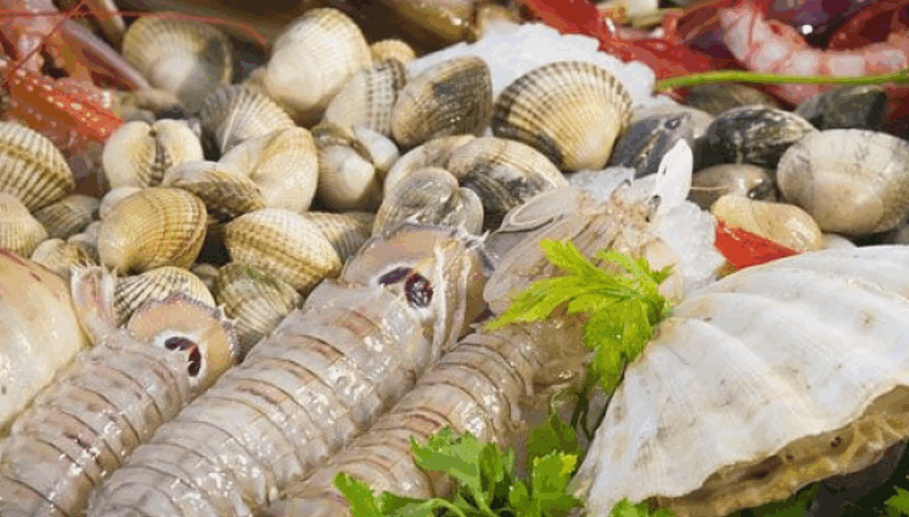 Pescado fresco en Cova del Mero