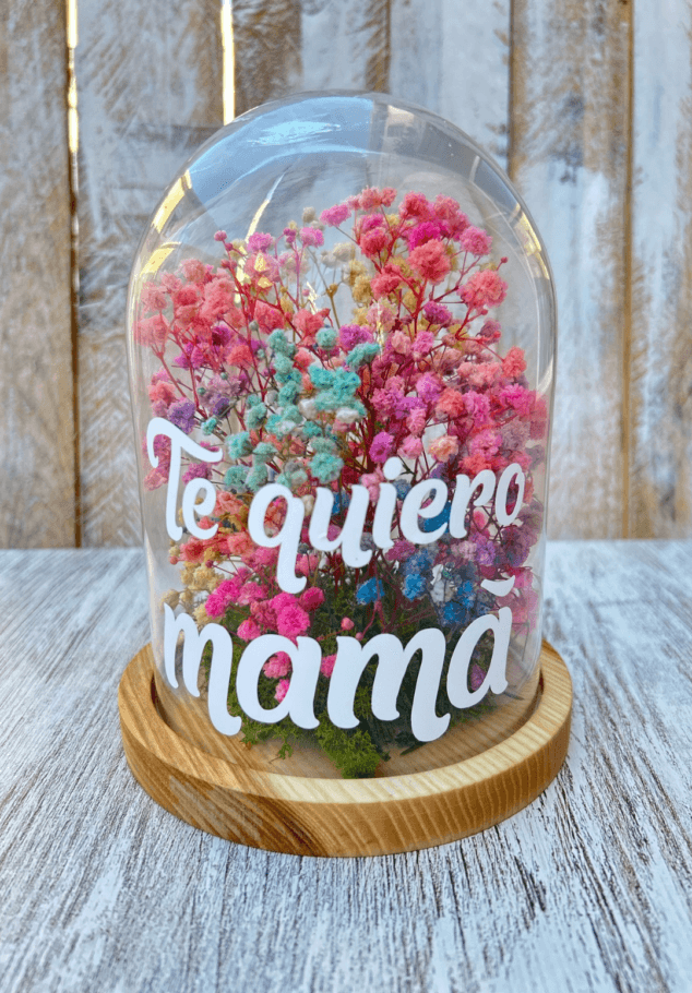 preciosas flores preservadas