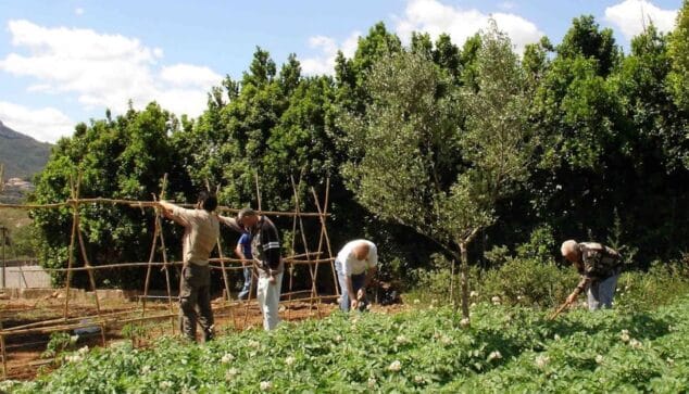 Imagen: Agricultores en Dénia