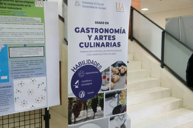 cartel del del grado en gastronomia y artes culinarias de la universidad de alicante