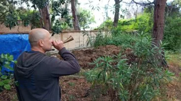 El propietario utiliza una corneta para espantar a los jabalíes