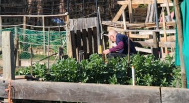 hombre trabajando en su huerto de denia