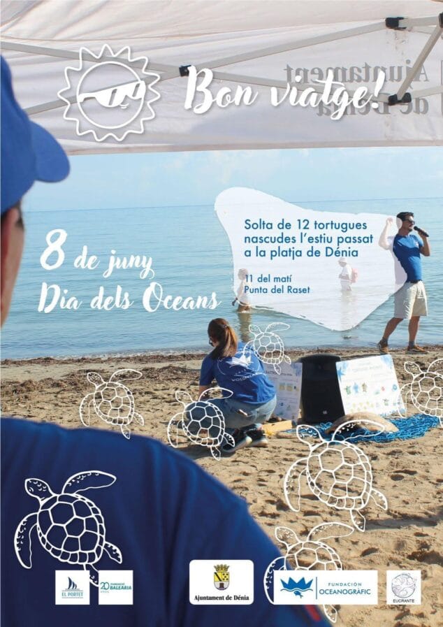Dénia celebrará el Día Mundial de los Océanos con la suelta de 12 tortugas al mar 1 Imagen: Día de los Oceános en Dénia