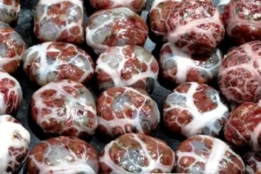 El primer Figatell Fest de Dénia 28