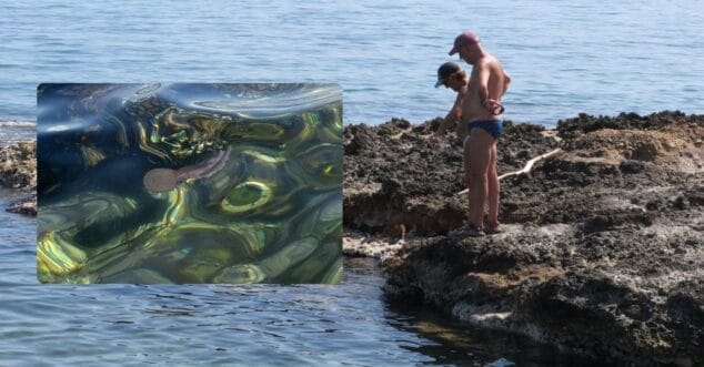medusas en la playa de denia
