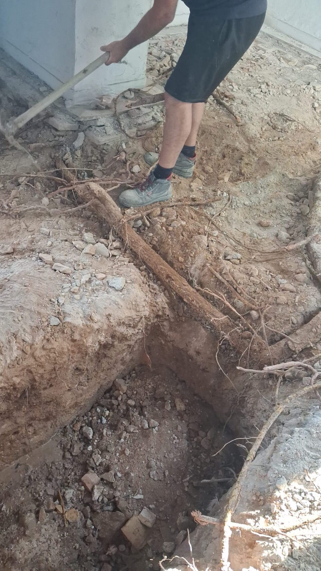 Extracción controlada de las baldosas hidráulicas para eliminar raíces