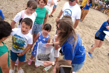 Suelta de tortugas en la Punta del Raset de Dénia (16)