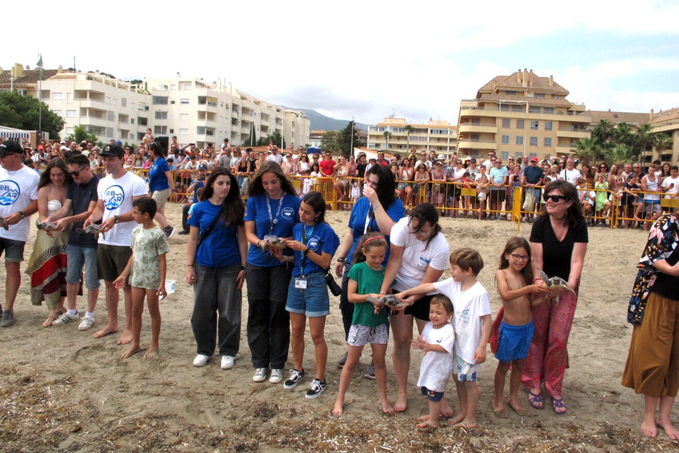 Suelta de tortugas en la Punta del Raset de Dénia (19)