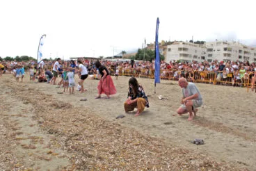 Suelta de tortugas en la Punta del Raset de Dénia (24)