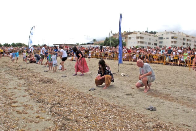 suelta de tortugas en la punta del raset de denia 24
