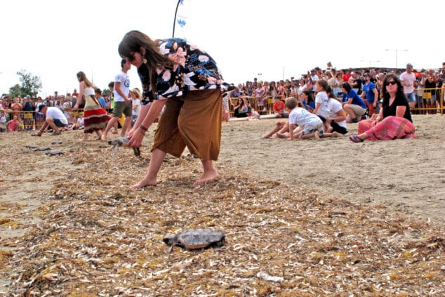 suelta de tortugas en la punta del raset de denia 25
