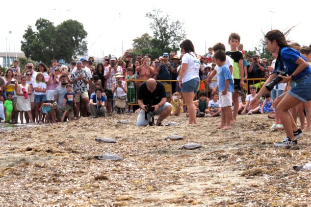 suelta de tortugas en la punta del raset de denia 26