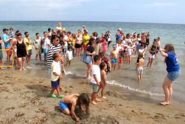 Suelta de tortugas en la Punta del Raset de Dénia (27)