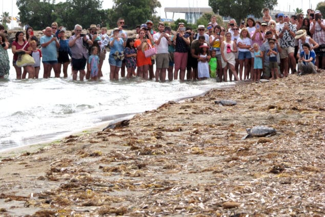 suelta de tortugas en la punta del raset de denia 28