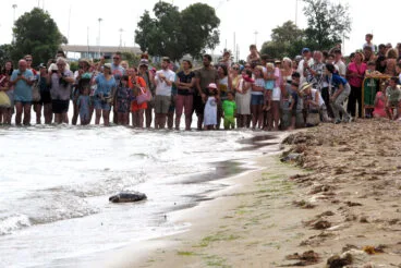 Suelta de tortugas en la Punta del Raset de Dénia (31)