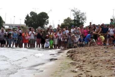 Suelta de tortugas en la Punta del Raset de Dénia (32)