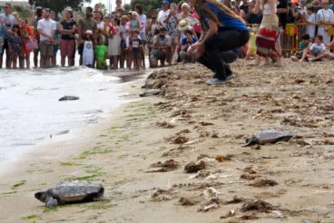 Suelta de tortugas en la Punta del Raset de Dénia (33)