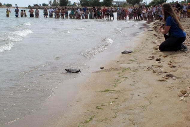 suelta de tortugas en la punta del raset de denia 35