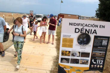 Suelta de tortugas en la Punta del Raset de Dénia (40)