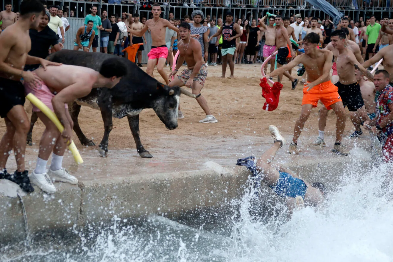 Bous a la Mar 2025 20