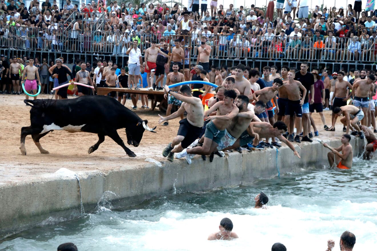 Bous a la Mar 2025 5