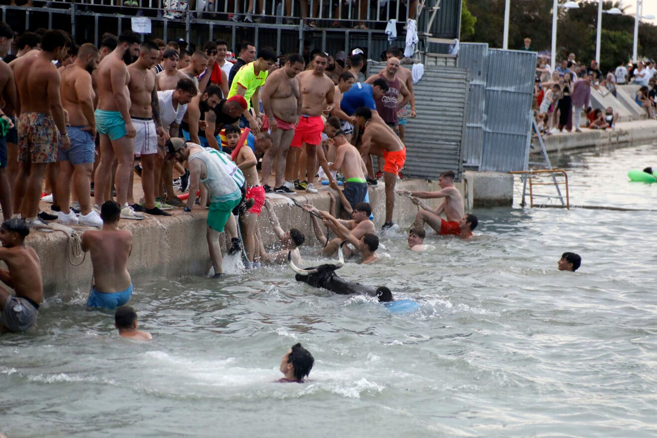 Bous a la Mar 2025 9